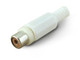 ALP18-50