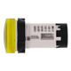 SNRXB7EV65P