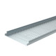 LEG480079