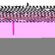 SNRZBYP6101