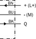 SIK6013453