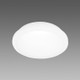 DIS42724939