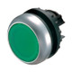 EAO216619