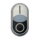 EAO216706