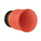 EAO216876