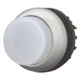 EAO216965