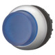 EAO216973