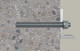 FIS00090279