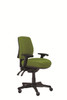 Buro Roma Ergonomic Chair 3 Lever Mid Back  Green W Arms : 719A-64-SS 