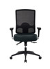 Buro Tidal Ergonomic Chair Mesh Back  Black W Arms : 244A-23 