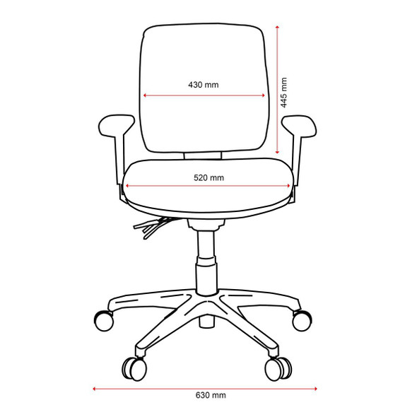 Buro Roma Ergonomic Chair 3 Lever Mid Back  Charcoal W Arms : 719A-62-SS 