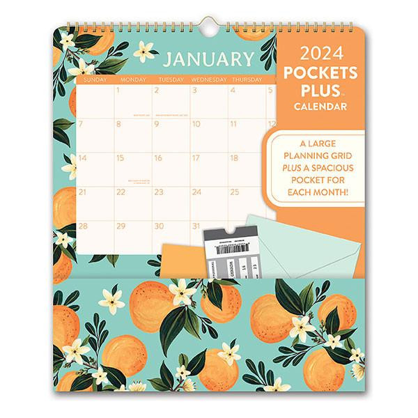 Orange Circle 2024 Pocket Plus Wallet Calendar Fruit and Flora : 24151 