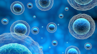 Effects of Molecular Hydrogen on Cell Death