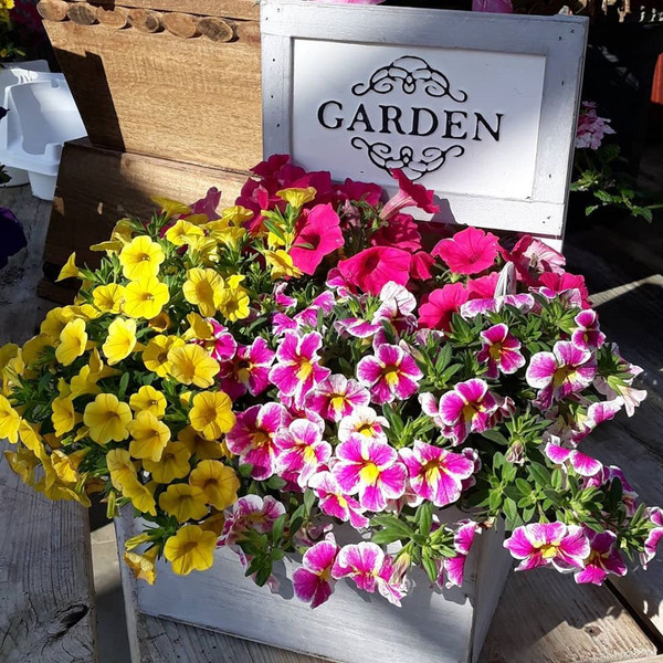 Spring Seminar Sat.10 LNK