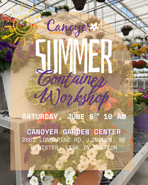 Summer Container Seminar