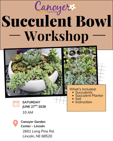 Succulent Bowl Seminar-Lincoln