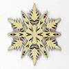 phoenix-snowflakes-5-thumb-1.jpg