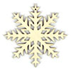 starry-night-snowflakes-3-thumb-1.jpg