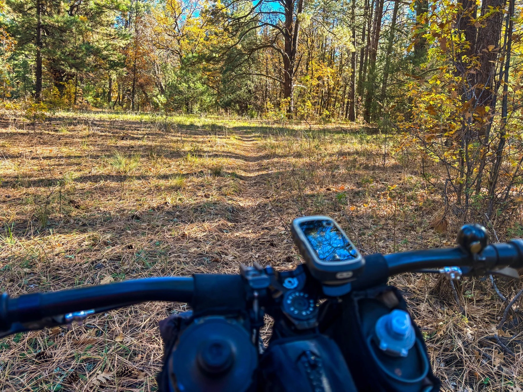 A view from the handlebars with a GPS mounted above the trail.