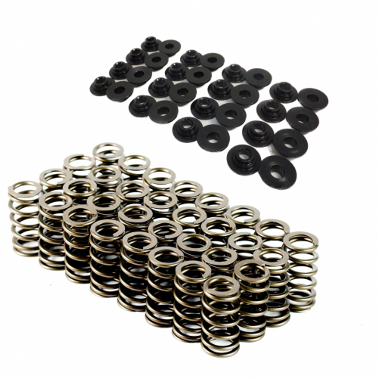 PAC 1809 Valve Spring Kit | Ford Coyote