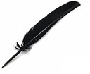 Turkey Dyed Black Feather 11-13"L
