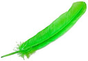 Style elytS Turkey Dyed Lime Feather 11-13L