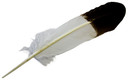 Turkey Brown Eagle Tipped Feather 11-13"L
