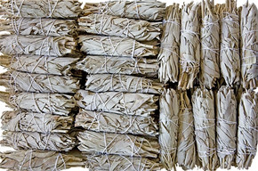 California White Sage Mini Smudges 4"L (Long Style) (Pack of 500)