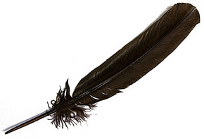 Turkey Dyed Brown Feather 11-13"L