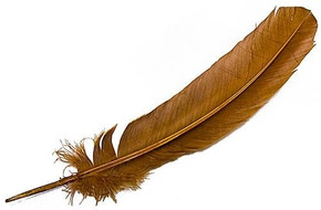 Style elytS Turkey Dyed Cinnamon Feather 11-13L