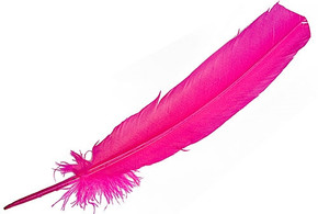 Turkey Dyed Fuchsia Feather 11-13"L