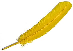 Turkey Dyed Gold Feather 11-13"L