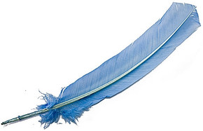 Turkey Dyed Light Blue Feather 11-13"L