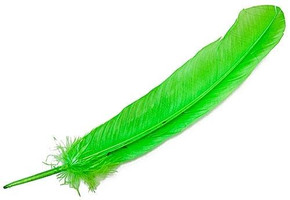 Style elytS Turkey Dyed Lime Feather 11-13L