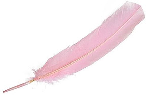 Style elytS Turkey Dyed Pink Feather 11-13L