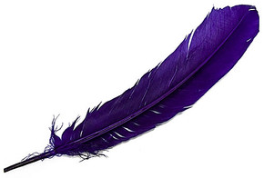 Turkey Dyed Purple Feather 11-13"L