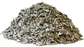 California White Sage Leaves & Clippings - 1/4 LB.