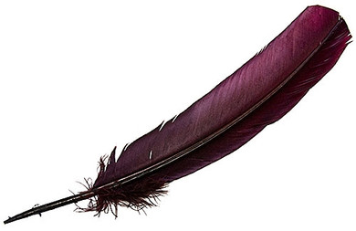 Turkey Dyed Burgundy Feather 11-13"L