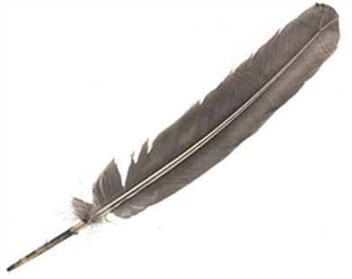 Turkey Dyed Grey Feather 11-13"L
