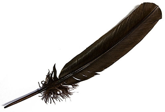 Turkey Dyed Brown Feather 11-13"L