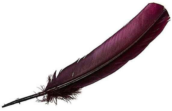 Turkey Dyed Burgundy Feather 11-13"L