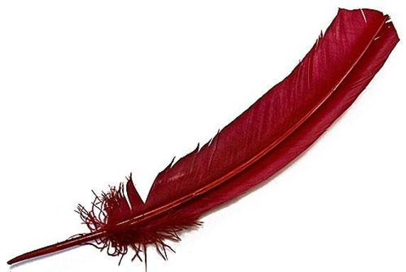 Style elytS Turkey Dyed Red Feather 11-13L