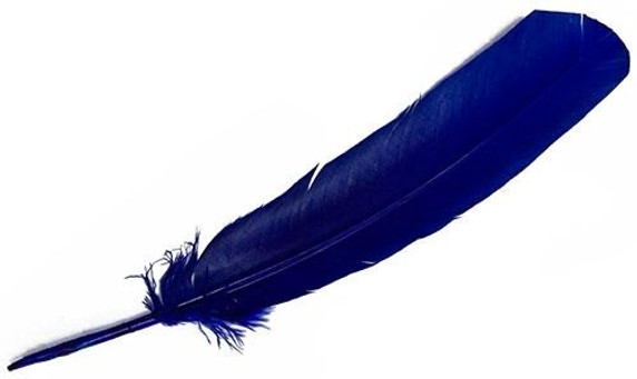 Style elytS Turkey Dyed Royal Blue Feather 11-13L