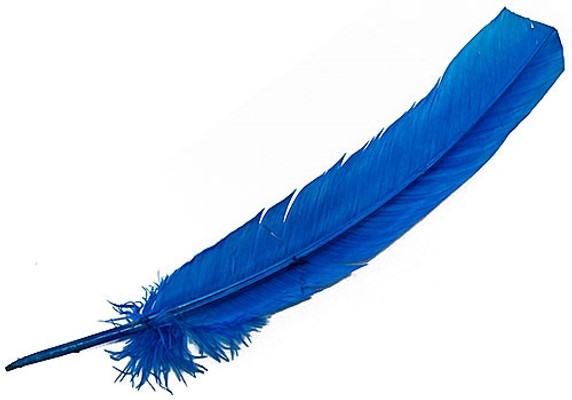Turkey Dyed Turquoise Feather 11-13"L