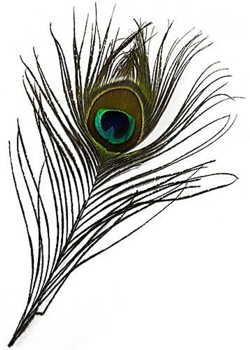 Style elytS Eyed Peacock Feather 10-12