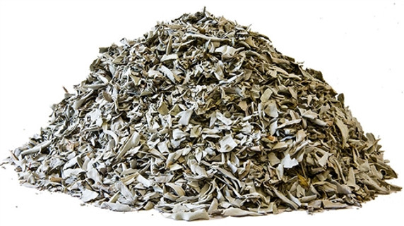 California White Sage Leaves & Clippings - 1/4 LB.