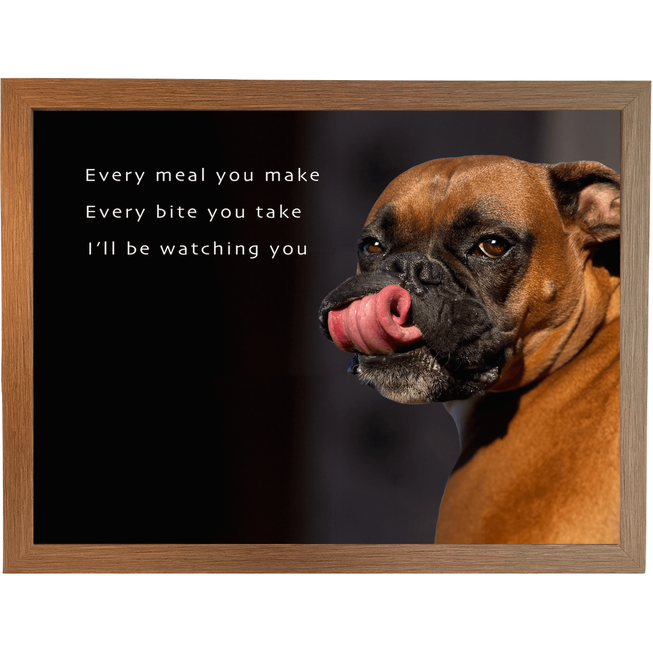 Poster Funny Boxer Dog Pictures With Sayings It's Not Dog Hair