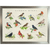 birds lap tray with silver frame