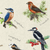birds lap tray with a kingfisher, spotted kingfisher and a crossbill