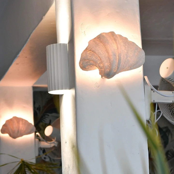 Beach Shells Pearl White Wall Sconce - Zest Lighting